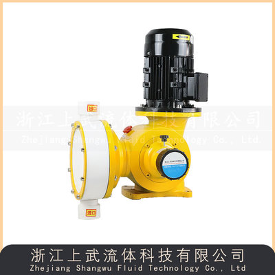 DL-D型耐腐蚀隔膜计量泵