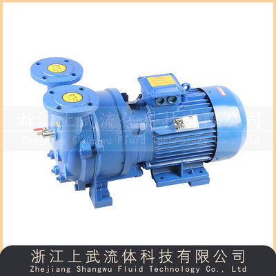 2BV型水环式真空泵