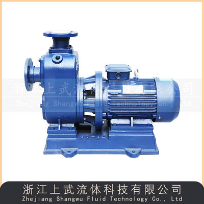 SCZ型直联式自吸泵