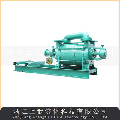 2SK型两级水环式真空泵