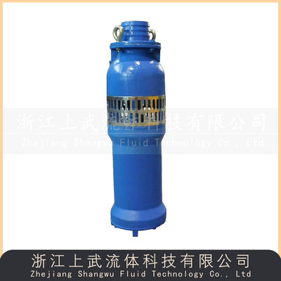 QS型充水湿式潜水泵