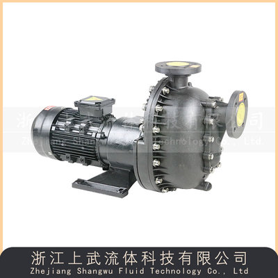 ZBF型塑料自吸磁力泵