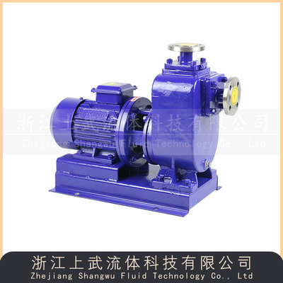 ZXL型直联式清水自吸泵