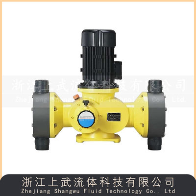GB-S型双头机械隔膜式计量泵