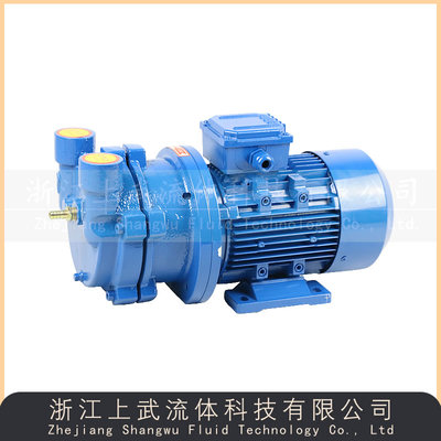 SK型直联式真空泵