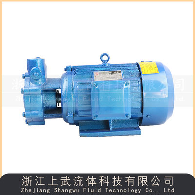 W型直连式漩涡泵