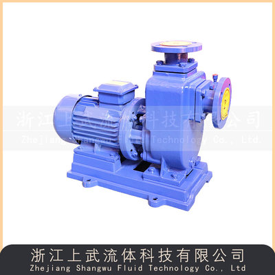 ZWL型直联式自吸排污泵