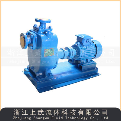ZW型无堵塞自吸排污泵