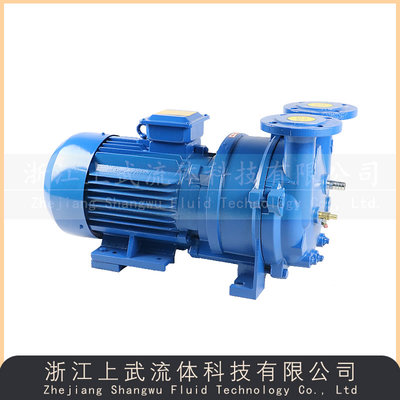 SKA型水环式真空泵