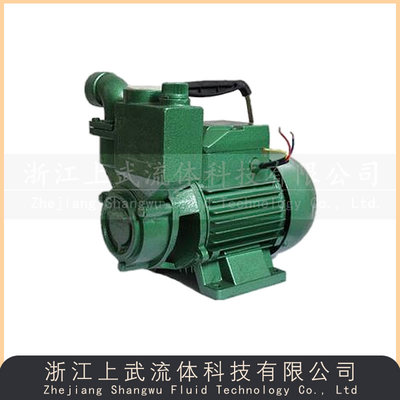 DBZ型小型自吸泵