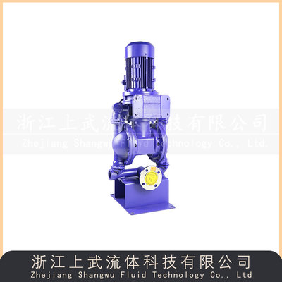 DBL型立式电动隔膜泵